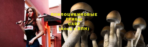 сатива Зерноград