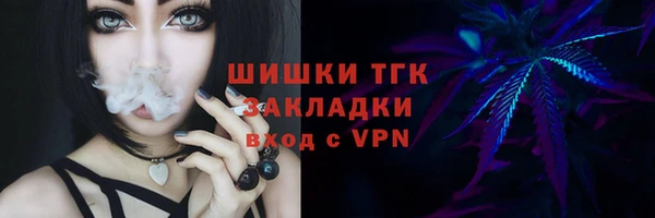 сатива Зерноград
