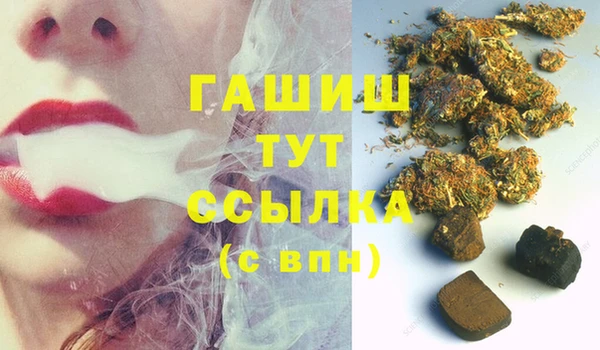 сатива Зерноград