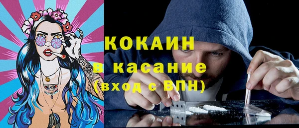 сатива Зерноград