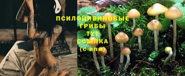 марки nbome Зеленокумск