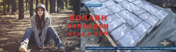 сатива Зерноград